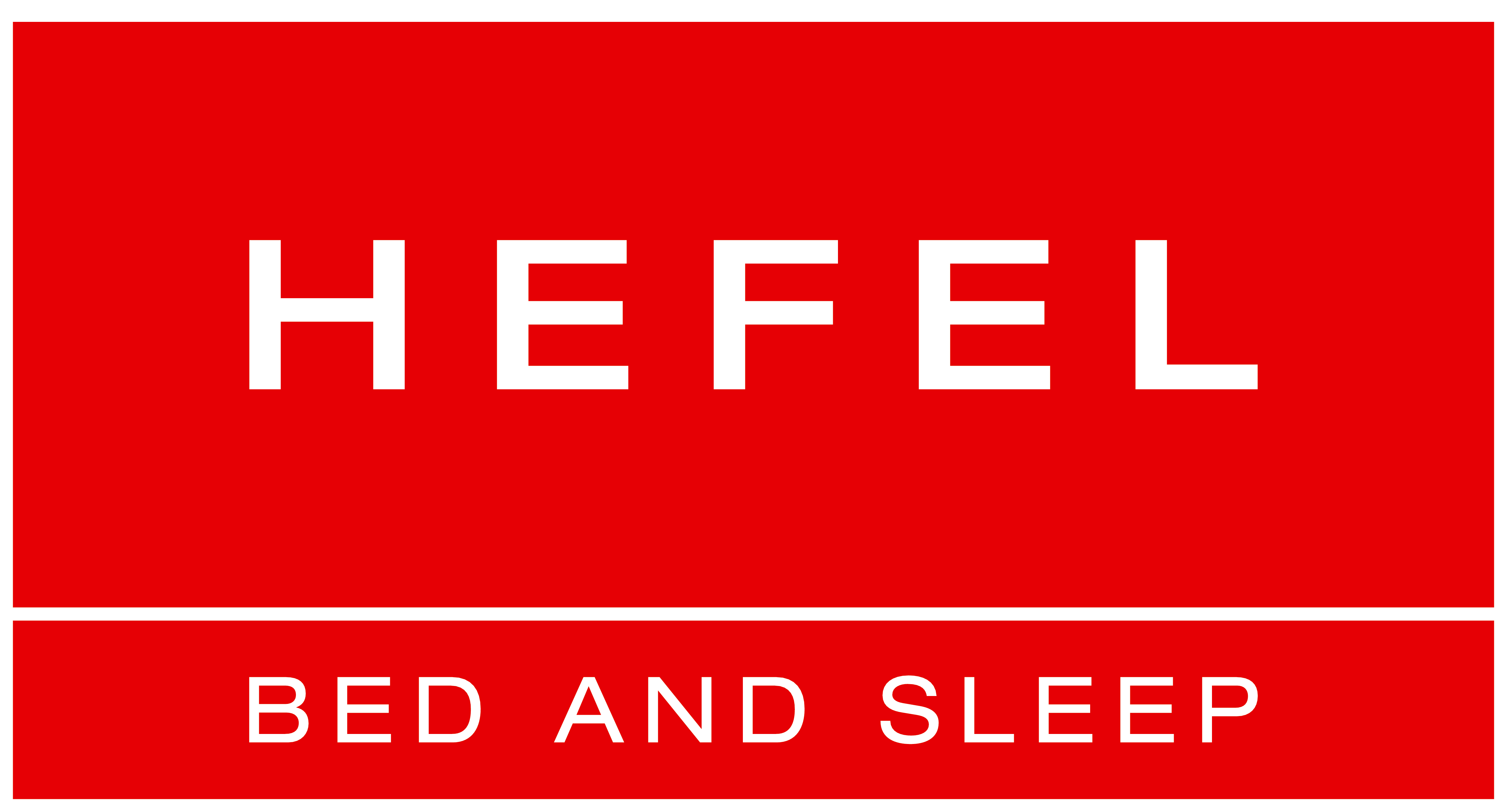 HEFEL Logo P300